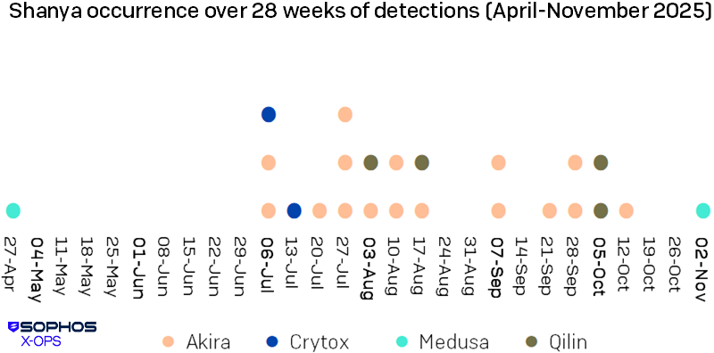 A chart showing the distribution of Shanya-realted detections of Akira, Crytox, Medusa, and Qilin, showing that there was no pattern or order to which ransomware family was using Shanya from week to week